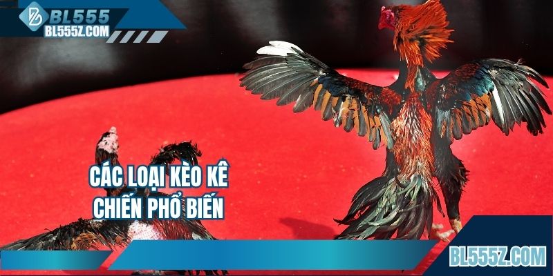 Các loại kèo kê chiến phổ biến