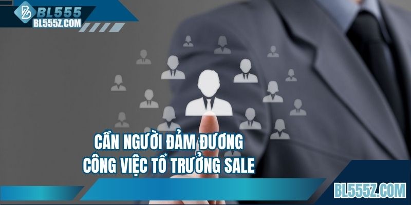 Cần người đảm đương công việc tổ trưởng Sale