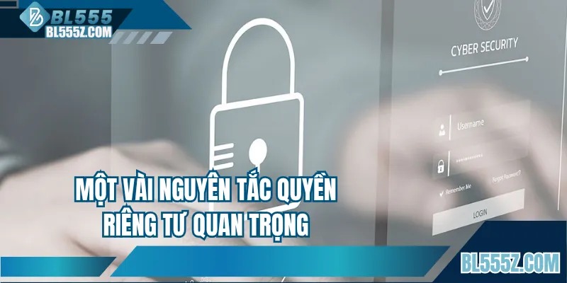 Một vài nguyên tắc quyền riêng tư quan trọng