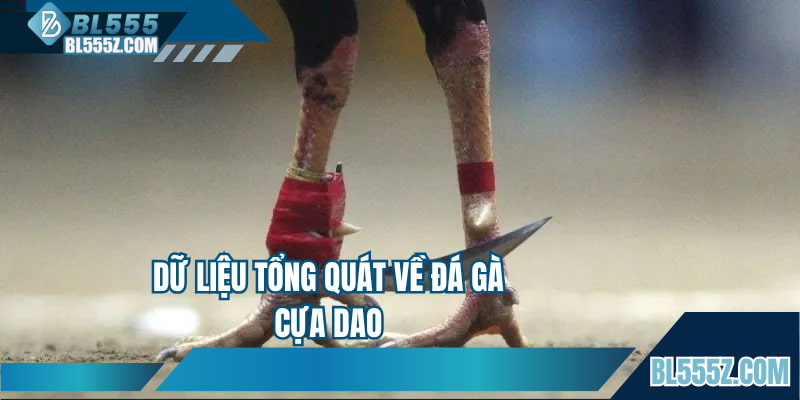 Dữ liệu tổng quát về đá gà cựa dao