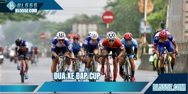 Đua Xe Đạp Cup - Mô Hình Cá Cược Online Hấp Dẫn, Độc Đáo