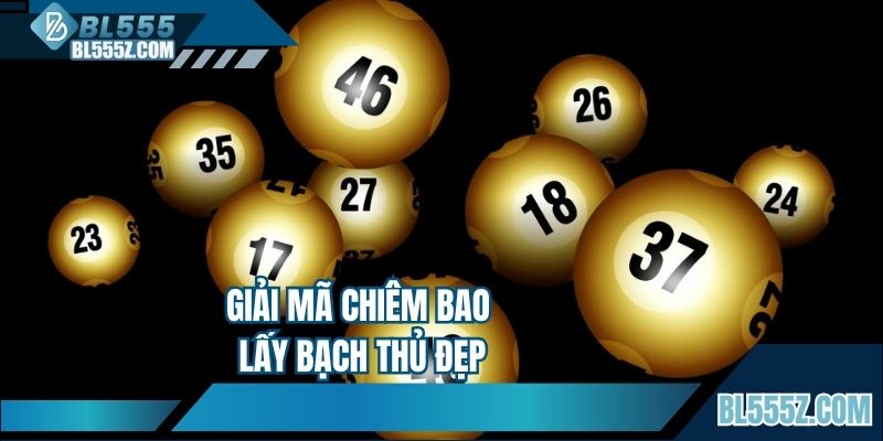 Giải mã chiêm bao lấy bạch thủ đẹp