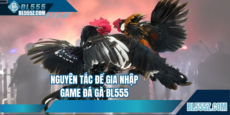 Nguyên tắc để gia nhập game đá gà BL555