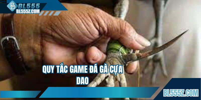Quy tắc game đá gà cựa dao