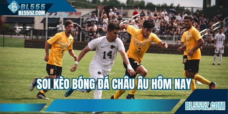 Soi Kèo Bóng Đá Châu Âu Hôm Nay Với Nhiều Tin Tức Hữu Ích