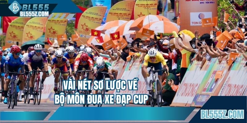 Vài nét sơ lược về bộ môn đua xe đạp cup